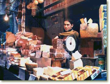 shop.jpg (22407 byte)
